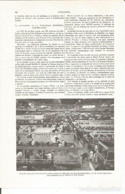 Otros art&iacute;culos de coleccionismo en papel: LAMINA ESPASA 36052: Interior del Earls Court de Londres - Varios