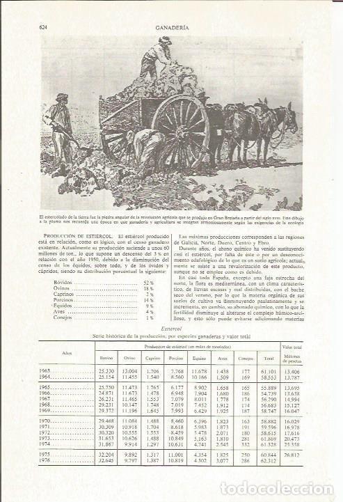 Otros art&iacute;culos de coleccionismo en papel: LAMINA ESPASA 36054: Dibujo a la pluma ingles - Varios