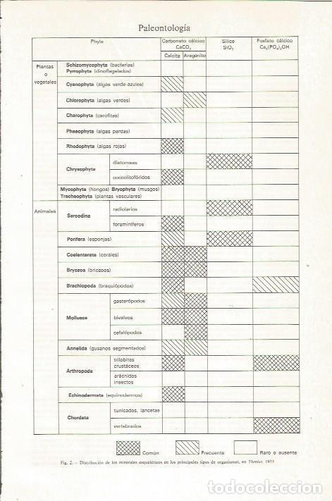 Otros art&iacute;culos de coleccionismo en papel: LAMINA ESPASA 36198: Distribucion de los minerales en los organismos - Varios