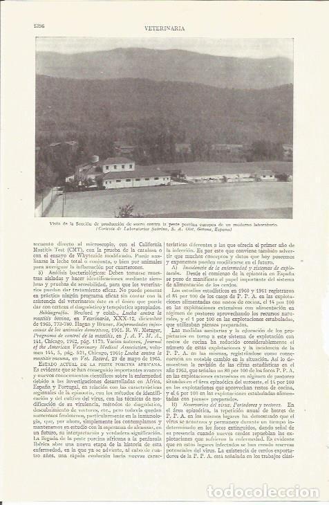 Otros art&iacute;culos de coleccionismo en papel: LAMINA ESPASA 35957: Laboratorios Sobrino SA en Olot, Girona - Varios