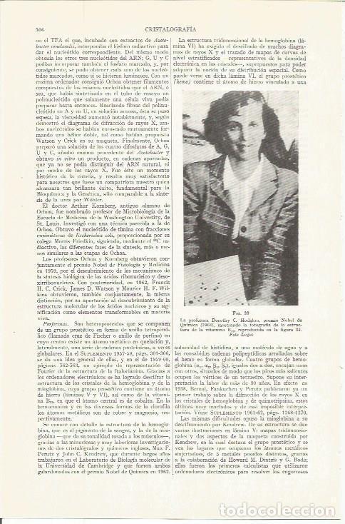 Otros art&iacute;culos de coleccionismo en papel: LAMINA ESPASA 36724: Dorothy C. Hodgkin, premio Nobel de Quimica en 1964 - Varios