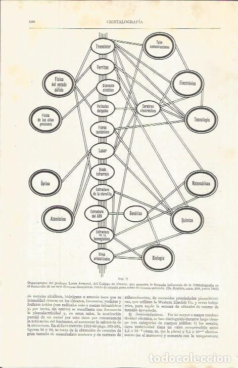 Otros art&iacute;culos de coleccionismo en papel: LAMINA ESPASA 36719: Organigrama de Louis Armand del College de France - Varios