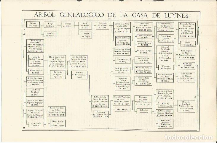Otros art&iacute;culos de coleccionismo en papel: LAMINA ESPASA 36334: Arbol genealogico de la Casa de Luynes - Varios