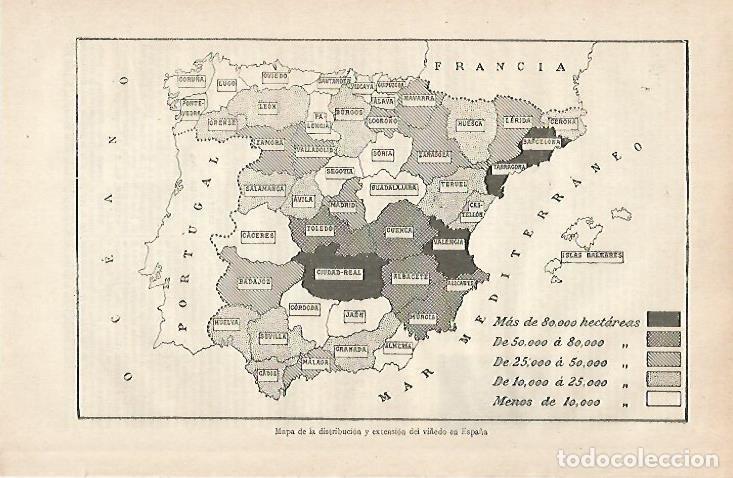 Otros art&iacute;culos de coleccionismo en papel: LAMINA ESPASA 30413: Mapa del vi&ntilde;edo en Espa&ntilde;a - Varios