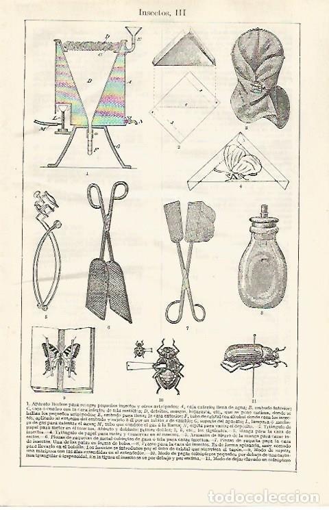 Otros art&iacute;culos de coleccionismo en papel: LAMINA ESPASA 30405: Aparatos para insectos - Varios