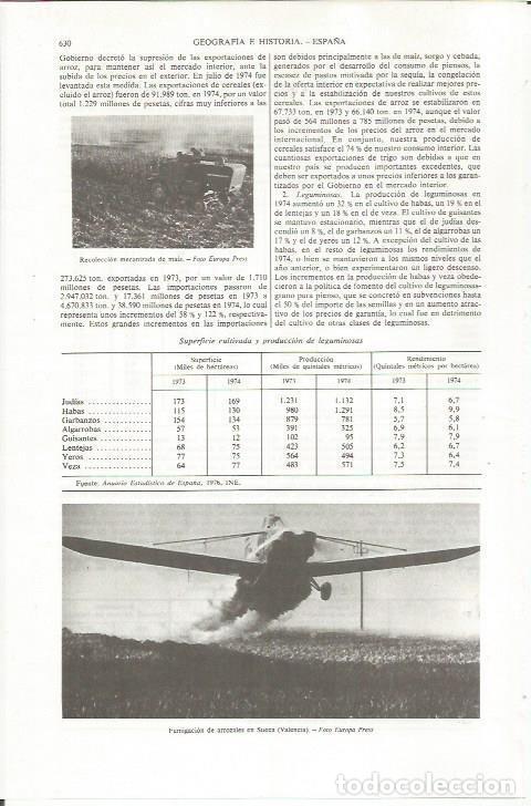 Otros art&iacute;culos de coleccionismo en papel: LAMINA ESPASA 36836: Fumigacion de arrozales en Sueca, Valencia - Varios