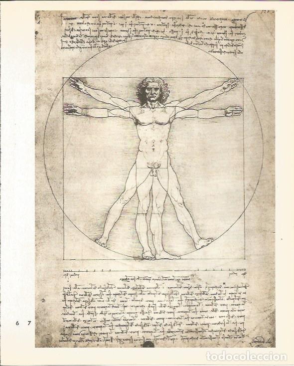 Otros art&iacute;culos de coleccionismo en papel: LAMINA 25394: Estudio de un cuerpo humano, por Leonardo da Vinci - M. Lenzini y E. Micheletti