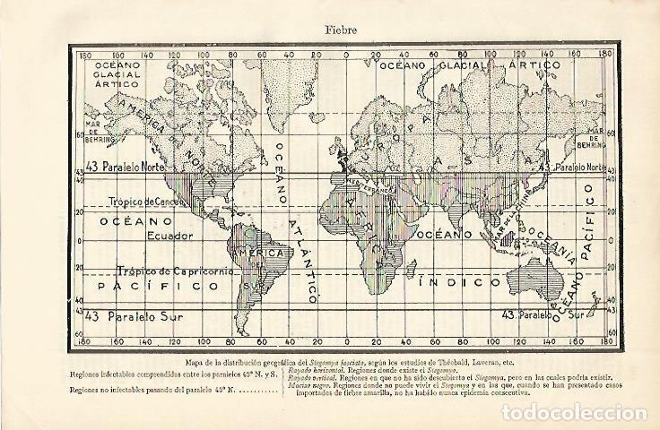 Otros art&iacute;culos de coleccionismo en papel: LAMINA ESPASA 2496: Mapa de la distribucion del Stegommya fasciata - Varios Autores