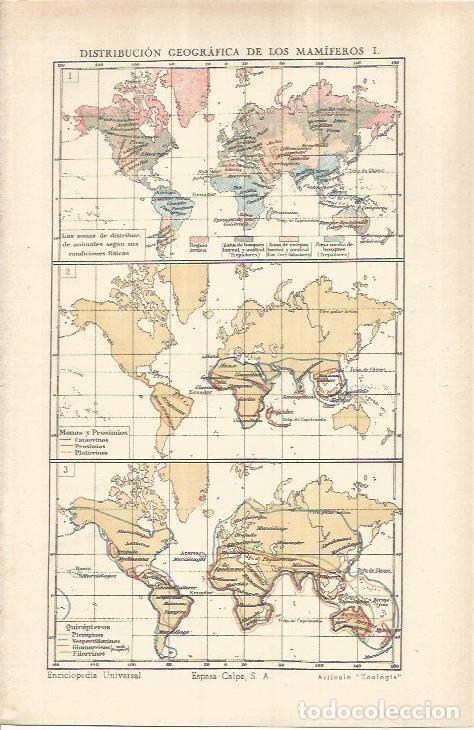 Otros art&iacute;culos de coleccionismo en papel: LAMINA ESPASA 37027: Distribucion geografica de los mamiferos - Varios