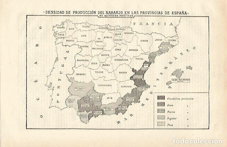 Otros art&iacute;culos de coleccionismo en papel: LAMINA ESPASA 24668: Mapa de Espa&ntilde;a de produccion de naranjo - Varios