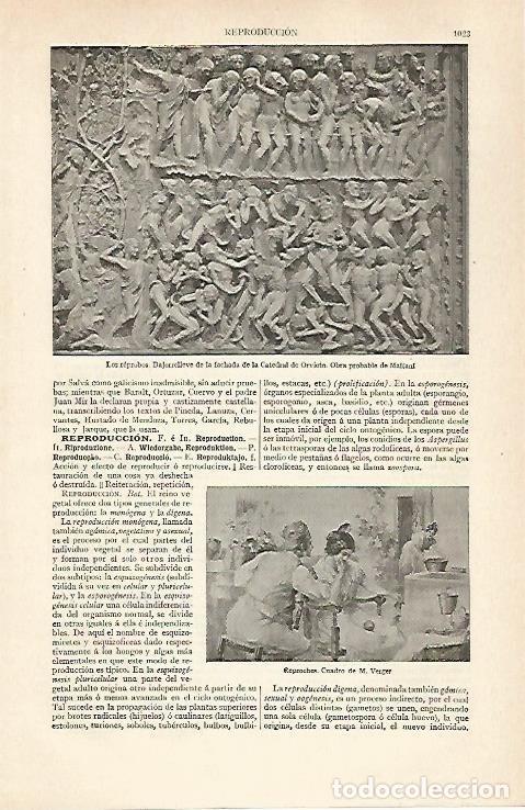 Otros art&iacute;culos de coleccionismo en papel: LAMINA ESPASA 31065: Los reprobos de la Catedral de Oviedo - Varios