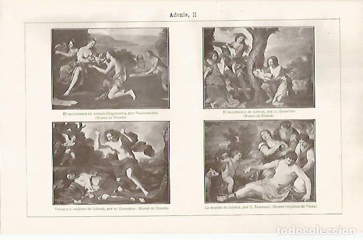 Otros art&iacute;culos de coleccionismo en papel: LAMINA ESPASA 31407: Adonis por Franceschini El Guercino y C. Schwarz - Varios