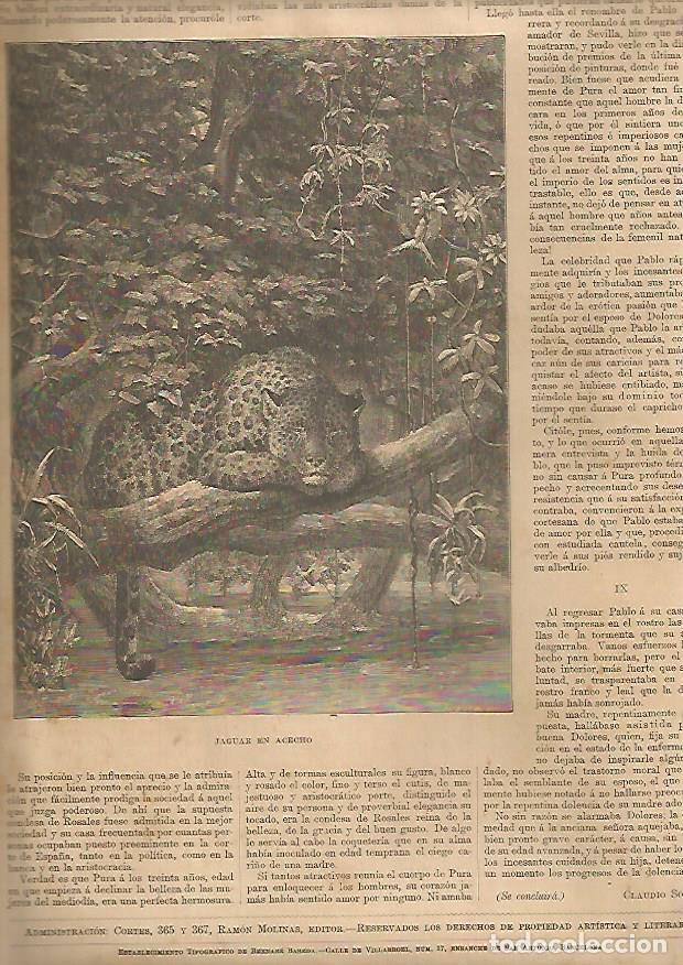Otros art&iacute;culos de coleccionismo en papel: LAMINA 13475: Jaguar en acecho - Varios