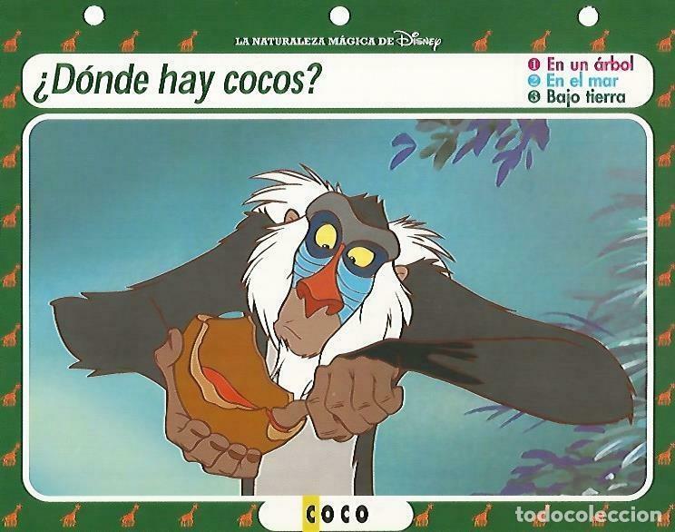 Otros art&iacute;culos de coleccionismo en papel: LAMINA 14069: Coco. Secretos de la sabana con el Rey Leon - Varios