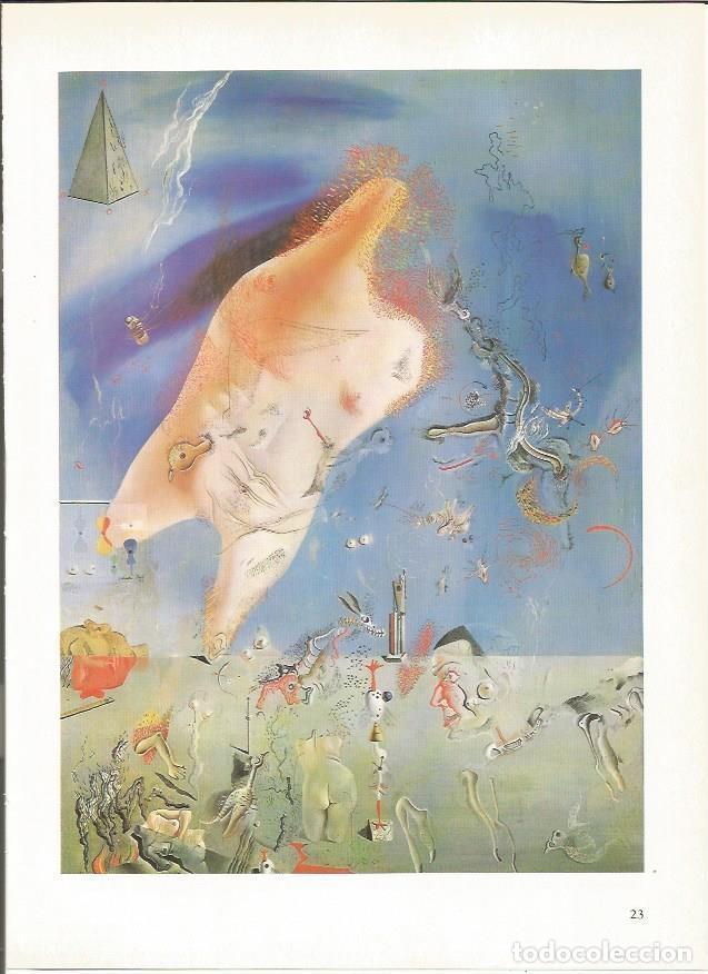 Otros art&iacute;culos de coleccionismo en papel: LAMINA 19266: Senicitas, por Dali - Varios