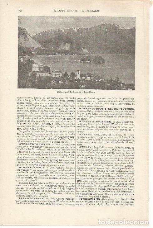 Otros art&iacute;culos de coleccionismo en papel: LAMINA ESPASA 34308: Lago Mayor en Stresa, Italia - Varios