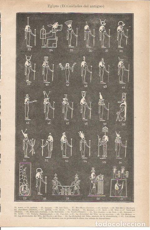 Otros art&iacute;culos de coleccionismo en papel: LAMINA ESPASA 35535: Otros dioses del antiguo Egipto - Varios