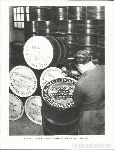 Otros art&iacute;culos de coleccionismo en papel: LAMINA 21691: Industria del aceite en Lleida - Josep Pla