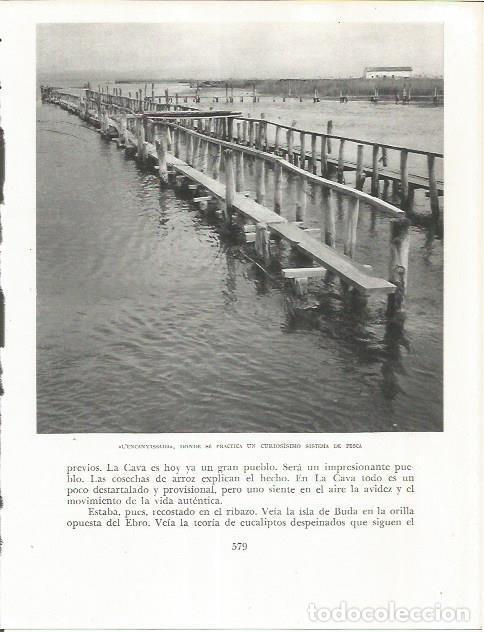 Otros art&iacute;culos de coleccionismo en papel: LAMINA 21765: L'Encanyissada en el Delta del Ebro - Josep Pla