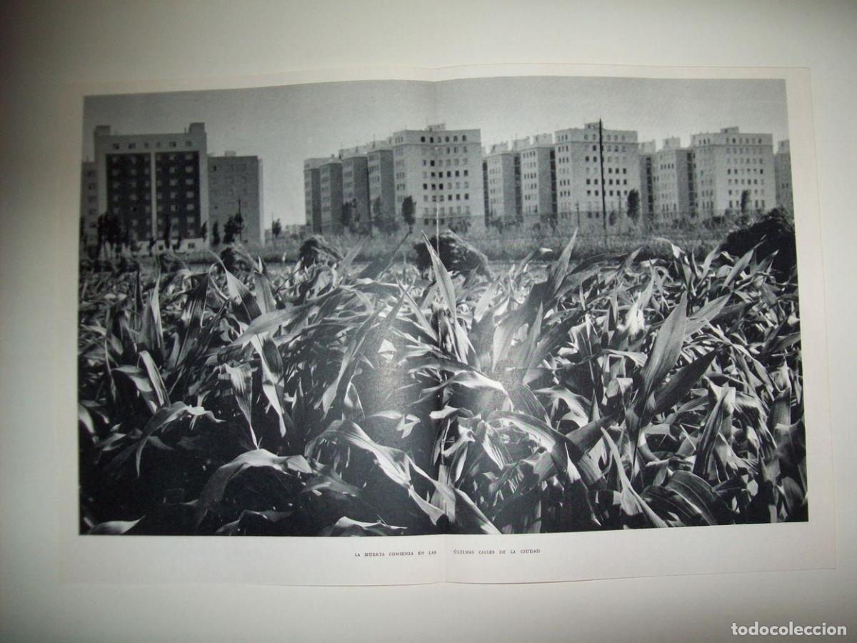 Otros art&iacute;culos de coleccionismo en papel: LAMINA 21851: Huerta en Valencia - Joan Fuster