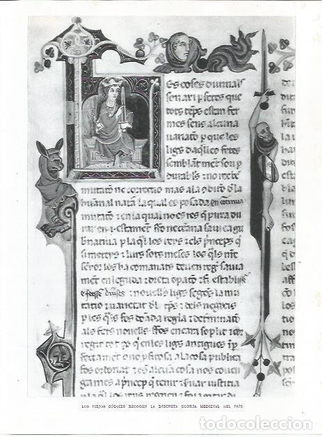 Otros art&iacute;culos de coleccionismo en papel: LAMINA 21780: Codice - Joan Fuster