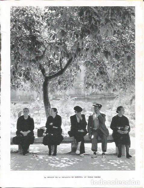 Otros art&iacute;culos de coleccionismo en papel: LAMINA 21788: Ancianos en el parque - Joan Fuster