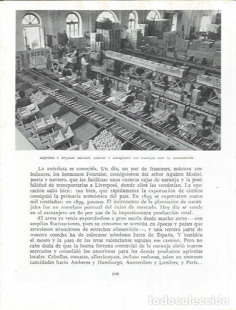 Otros art&iacute;culos de coleccionismo en papel: LAMINA 21813: Fabrica de naranjas - Joan Fuster