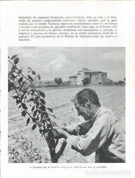 Otros art&iacute;culos de coleccionismo en papel: LAMINA 21852: Labrador - Joan Fuster