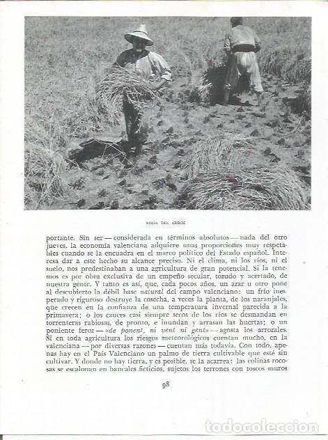 Outros artigos de papel: LAMINA 21811: Siega del arroz - Joan Fuster