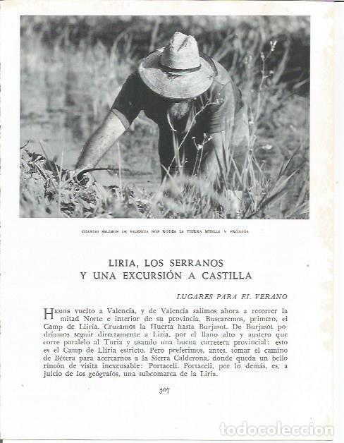 Sammelleidenschaft Andere Papierartikel: LAMINA 21911: Segando en el campo - Joan Fuster