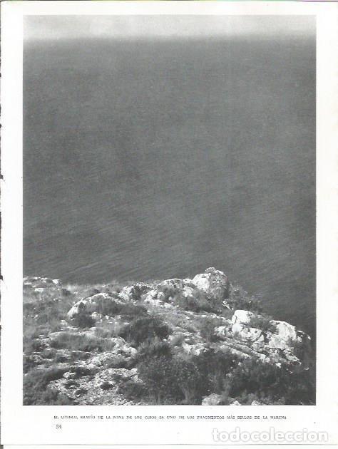 Otros art&iacute;culos de coleccionismo en papel: LAMINA 21947: Cabo en La Marina - Joan Fuster
