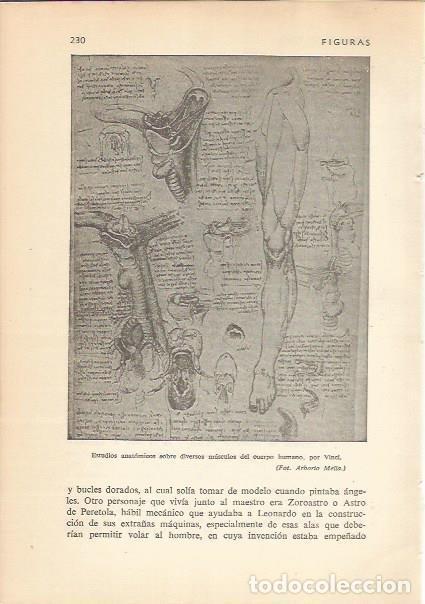 Otros art&iacute;culos de coleccionismo en papel: LAMINA 24191: Estudios anatomicos de Leonardo da Vinci - Carmi&ntilde;a Verdejo
