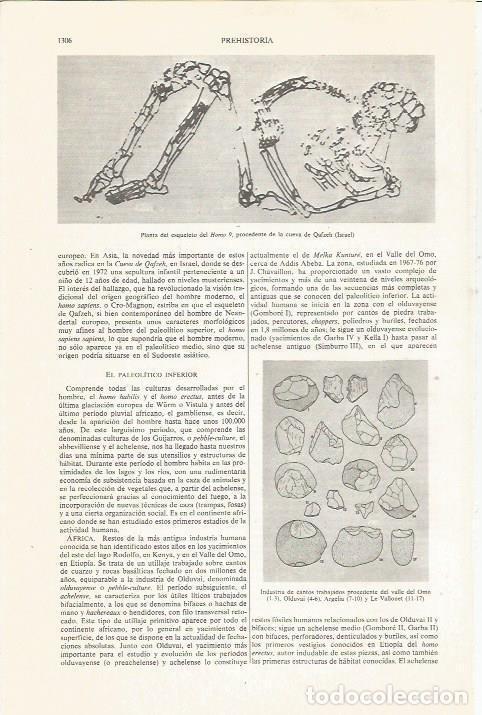 Otros art&iacute;culos de coleccionismo en papel: LAMINA ESPASA 36218: Planta del esqueleto del Homo 9 descubierto en Israel - Varios