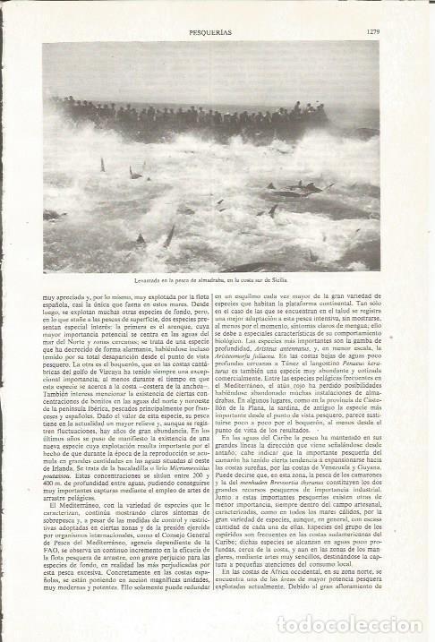 Otros art&iacute;culos de coleccionismo en papel: LAMINA ESPASA 36210: Levantada en la pesca de almadraba en Sicilia - Varios