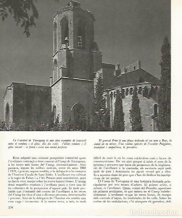 Otros art&iacute;culos de coleccionismo en papel: LAMINA 4392-29: Catedral de Tarragona - Josep Pla