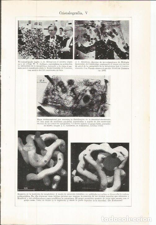 Otros art&iacute;culos de coleccionismo en papel: LAMINA ESPASA 36722: J. D. Bernal y J. C. Kendrew - Varios