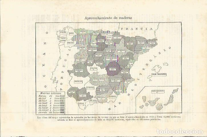 Otros art&iacute;culos de coleccionismo en papel: LAMINA ESPASA 36415: Mapa de Espa&ntilde;a de aprovechamiento de la madera - Varios