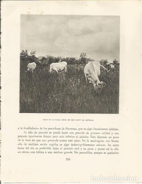 Otros art&iacute;culos de coleccionismo en papel: LAMINA 25215: Vacas en la Closa de Sant Marti d'Empuries - Josep Pla