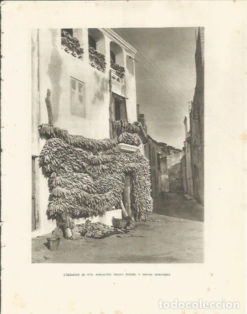 Altri oggetti di carta: LAMINA 25191: Calle de L'Estartit - Josep Pla