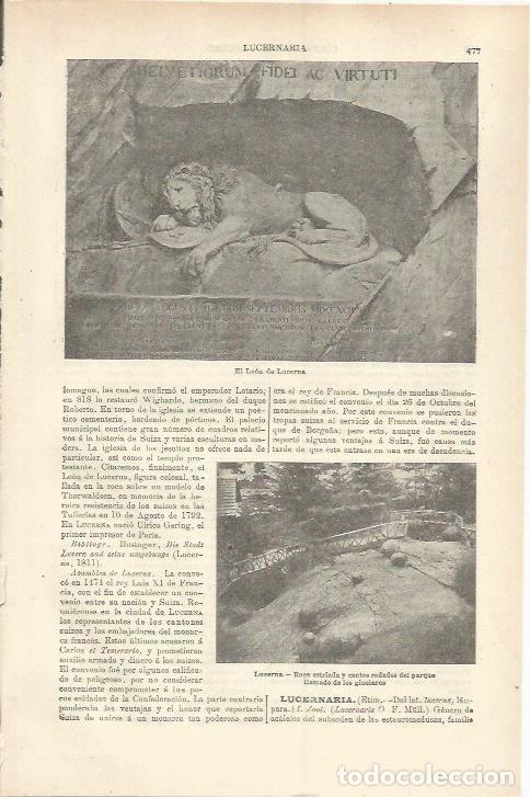 Otros art&iacute;culos de coleccionismo en papel: LAMINA ESPASA 37235: El leon de Lucerna - Varios