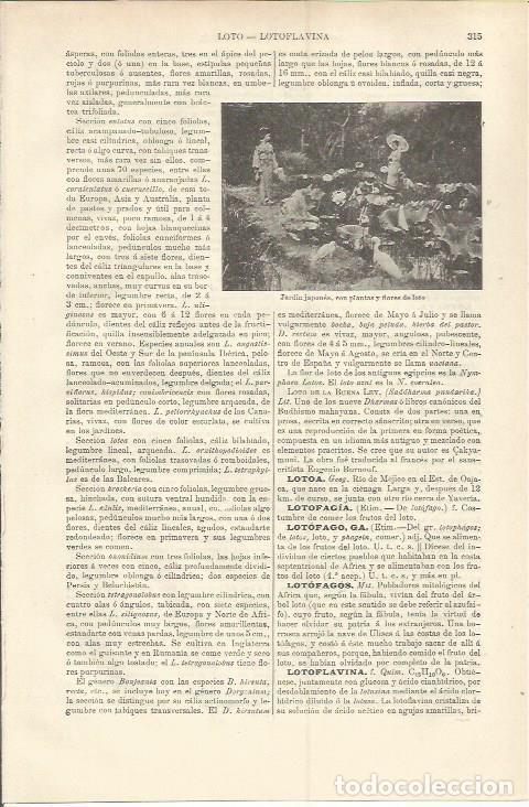 Otros art&iacute;culos de coleccionismo en papel: LAMINA ESPASA 37188: Jardin japones - Varios