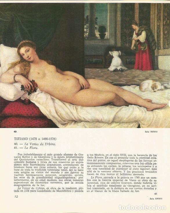 Outros artigos de papel: LAMINA 25384: La Venus de Urbino, por Tiziano - M. Lenzini y E. Micheletti