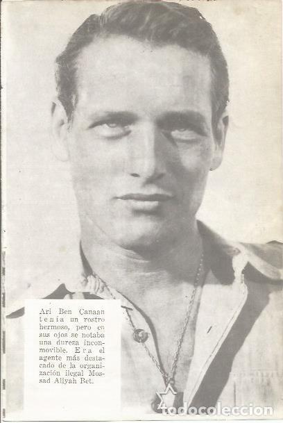 Otros art&iacute;culos de coleccionismo en papel: LAMINA 25351: Paul Newman - Varios