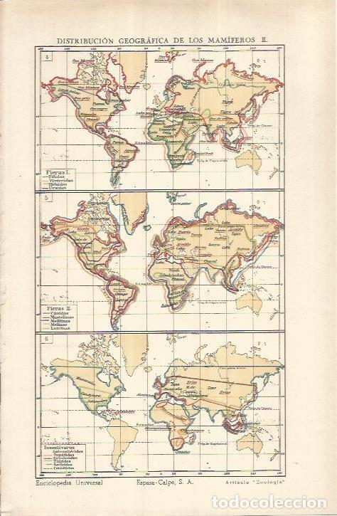 Otros art&iacute;culos de coleccionismo en papel: LAMINA ESPASA 37028: Mapamundi de distribucion geografica de mamiferos - Varios