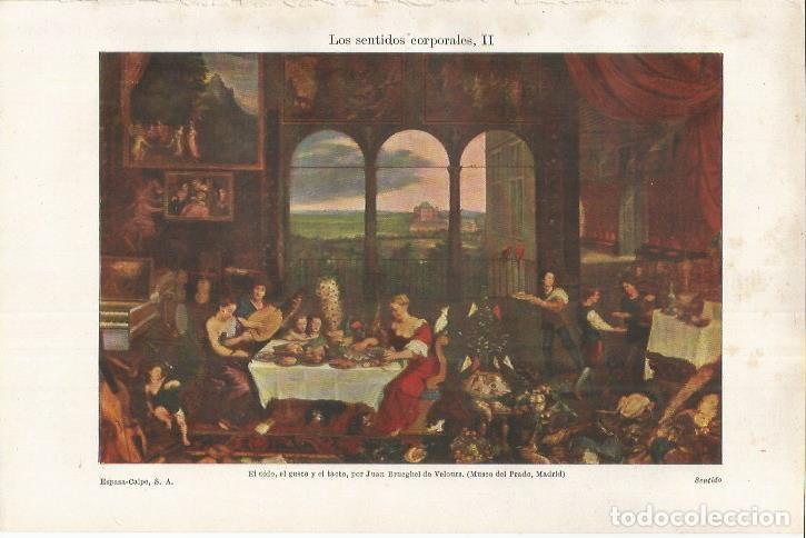 Otros art&iacute;culos de coleccionismo en papel: LAMINA ESPASA 37141: El oido, el gusto y el tacto, por Brueghel - Varios