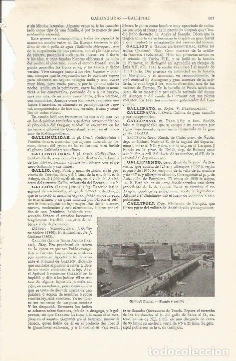 Otros art&iacute;culos de coleccionismo en papel: LAMINA ESPASA 37502: Puente y castillo de Gallipoli, Italia - Varios