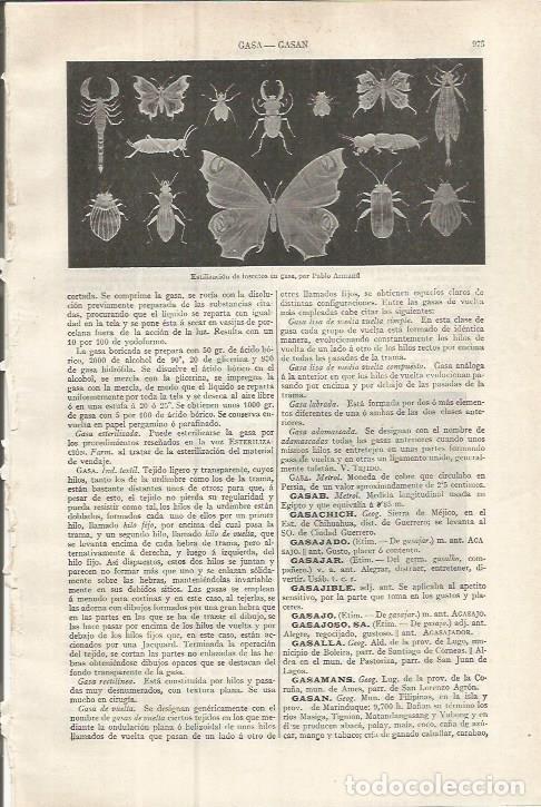 Otros art&iacute;culos de coleccionismo en papel: LAMINA ESPASA 37574: Estilizacion de insectos en gasa - Varios