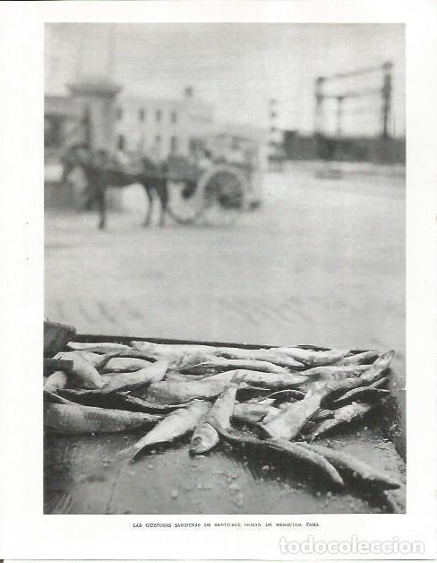 Otros art&iacute;culos de coleccionismo en papel: LAMINA 26592: Sardinas de Santurce - Pio Baroja