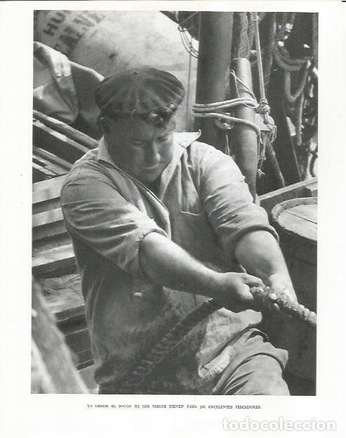 Otros art&iacute;culos de coleccionismo en papel: LAMINA 26697: Pescador del Pais Vasco - Pio Baroja