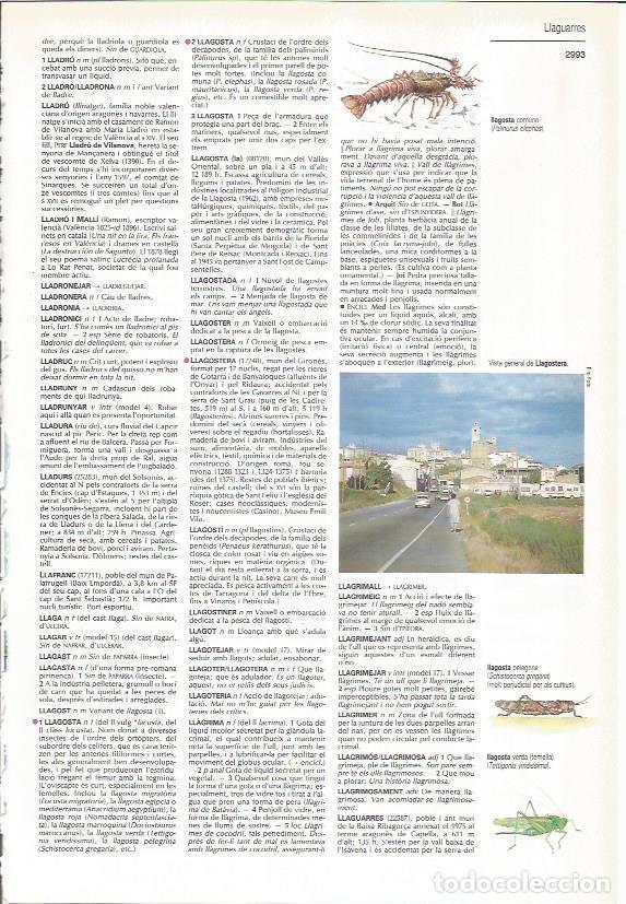 Paper Collecting Others: LAMINA LAROUSSE 70370: Vista de Llagostera, Girona - VVAA